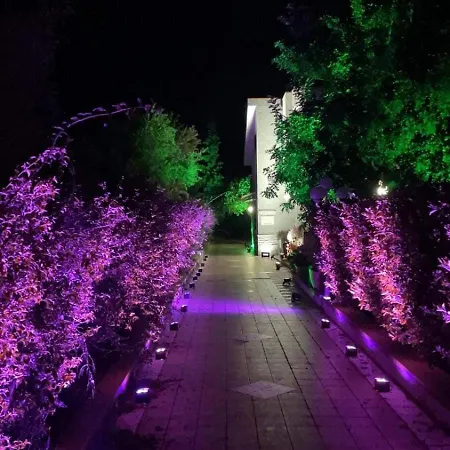 Bed & Breakfast Grotta Dei Puntali