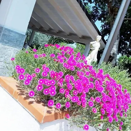 ベッド・アンド・ブレックファスト Grotta Dei Puntali 3*