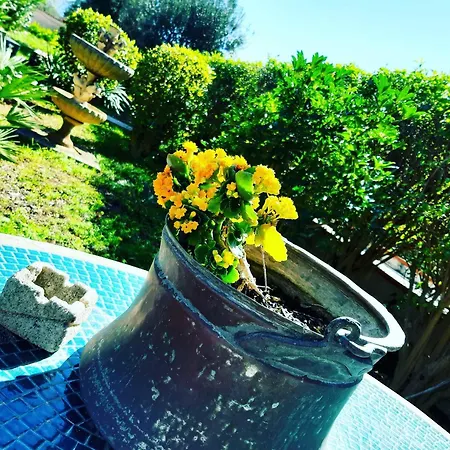 Grotta Dei Puntali ベッド・アンド・ブレックファスト